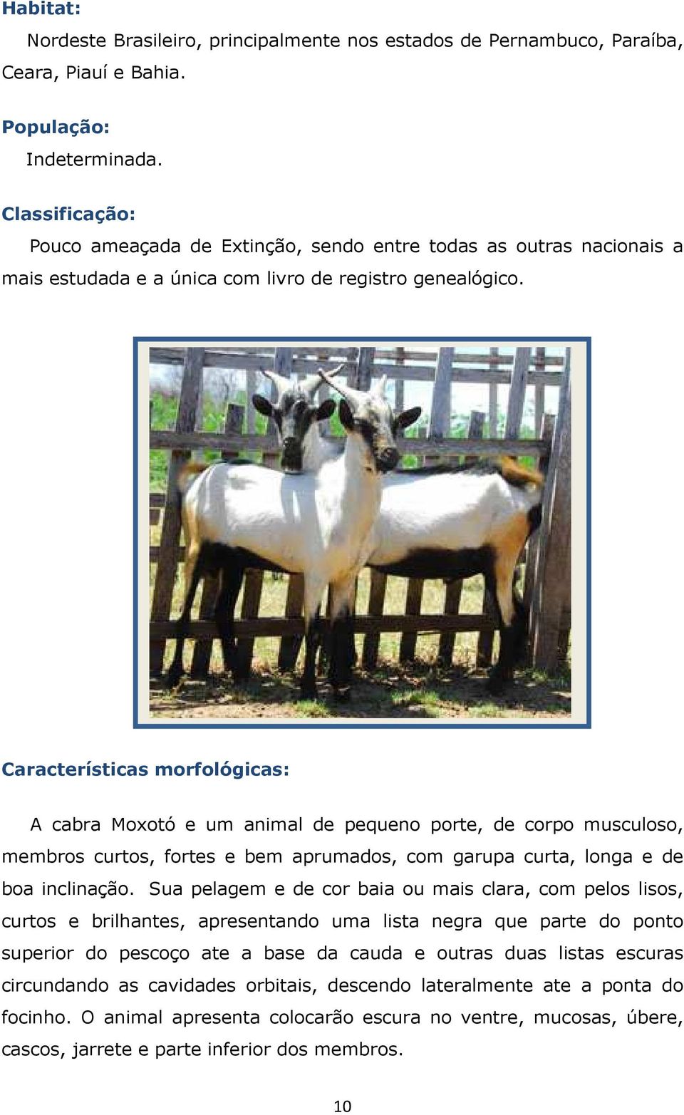 Características morfológicas: A cabra Moxotó e um animal de pequeno porte, de corpo musculoso, membros curtos, fortes e bem aprumados, com garupa curta, longa e de boa inclinação.