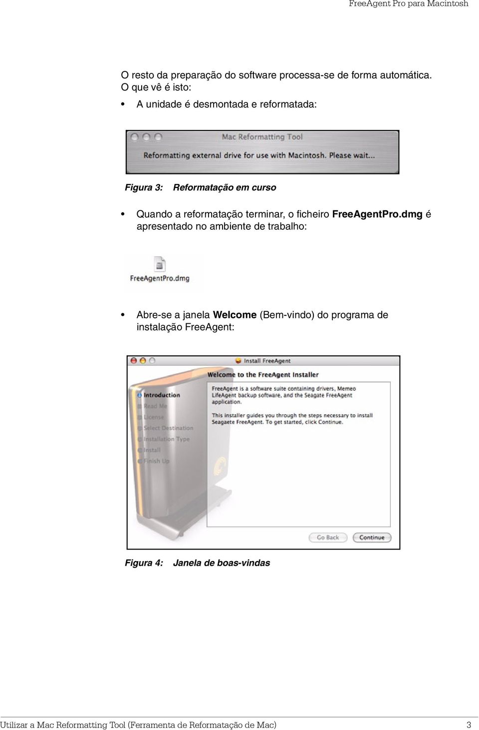 reformatação terminar, o ficheiro FreeAgentPro.