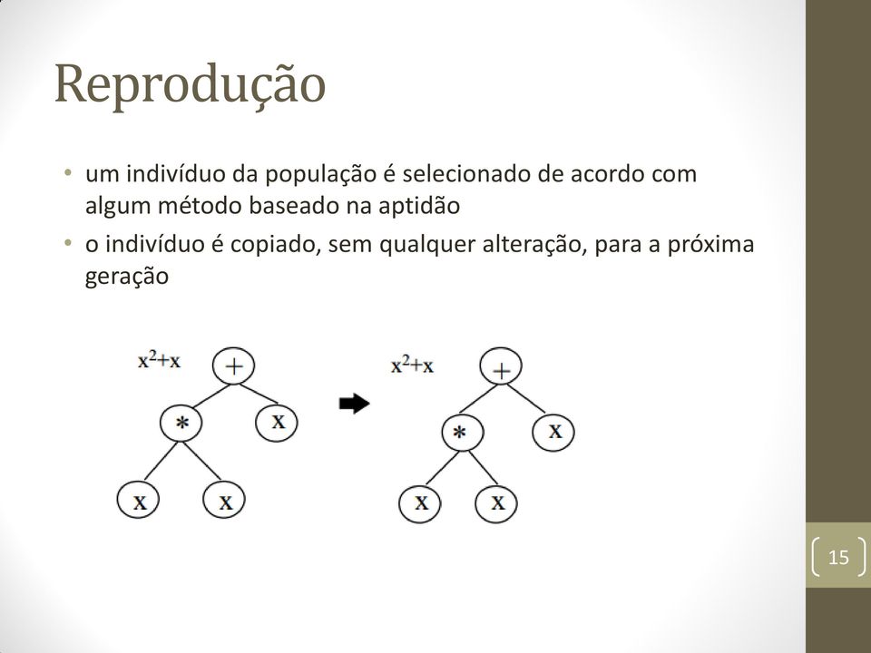 baseado na aptidão o indivíduo é copiado,