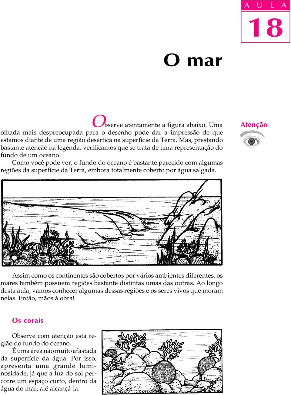 Como você pode ver, o fundo do oceano é bastante parecido com algumas regiões da superfície da Terra, embora totalmente coberto por água salgada.