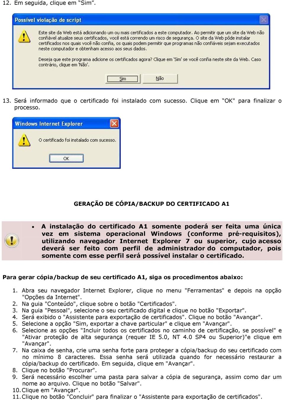 Explorer 7 ou superior, cujo acesso deverá ser feito com perfil de administrador do computador, pois somente com esse perfil será possível instalar o certificado.