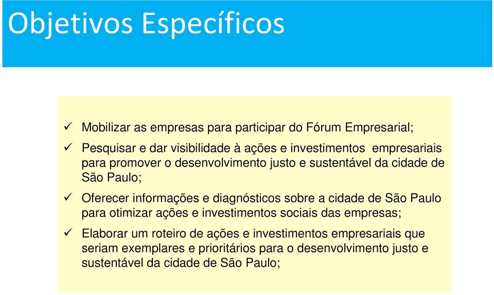 diagnósticos sobre a cidade de São Paulo para otimizar ações e investimentos sociais das empresas; Elaborar um roteiro de