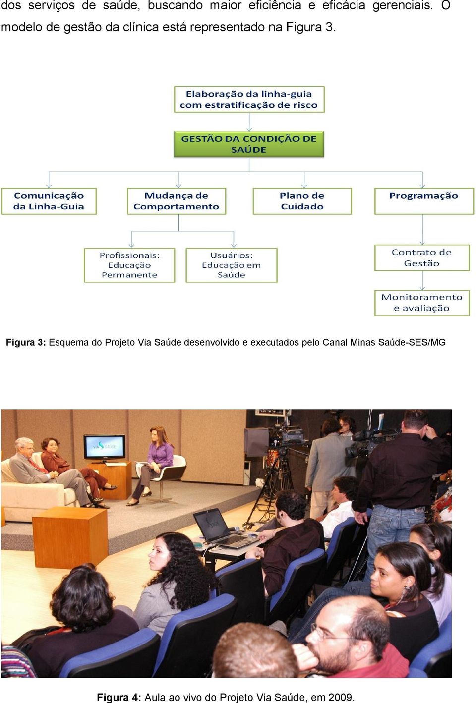 Figura 3: Esquema do Projeto Via Saúde desenvolvido e executados pelo