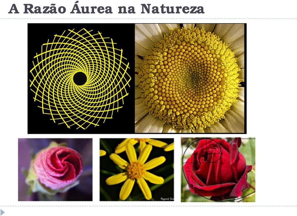 Natureza