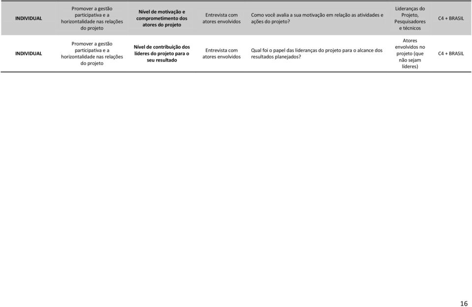 Lideranças do Projeto, Pesquisadores e técnicos + BRASIL INDIVIDUAL Promover a gestão participativa e a horizontalidade nas relações do projeto