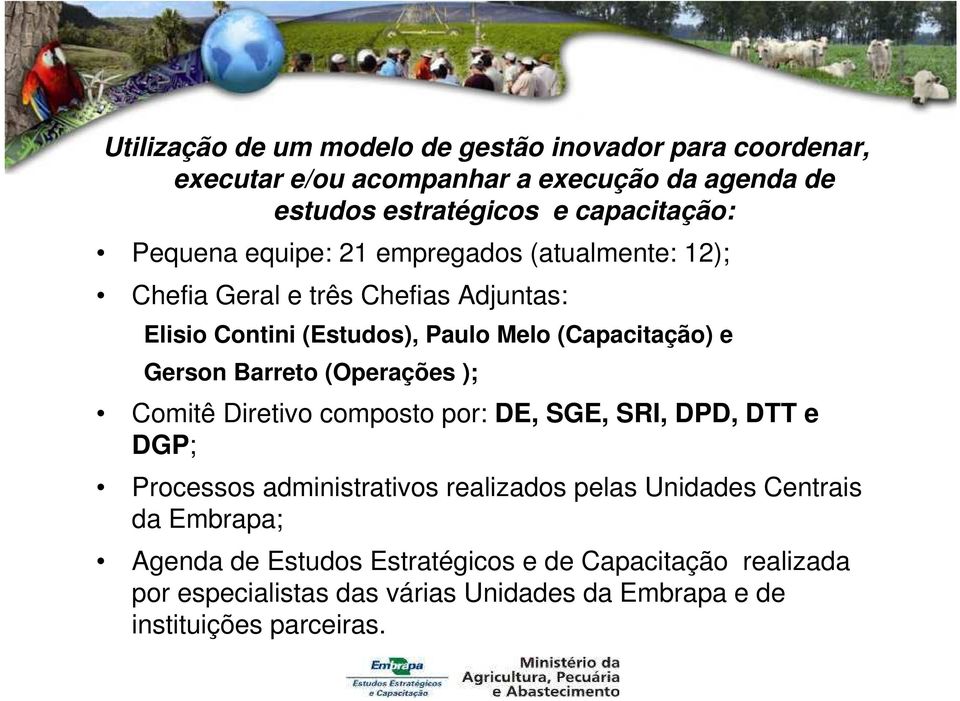 Gerson Barreto (Operações ); Comitê Diretivo composto por: DE, SGE, SRI, DPD, DTT e DGP; Processos administrativos realizados pelas Unidades