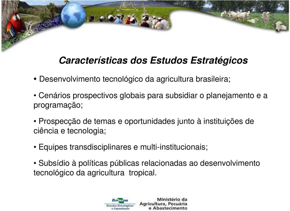 oportunidades junto à instituições de ciência e tecnologia; Equipes transdisciplinares e