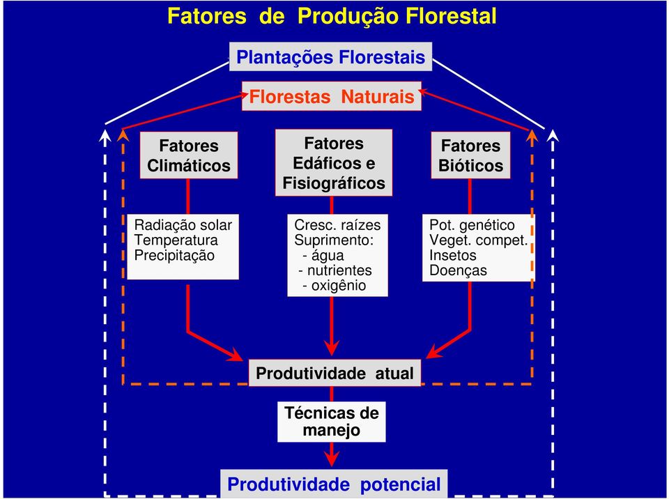 Temperatura Precipitação Cresc. raízes Suprimento: - água - nutrientes - oxigênio Pot.