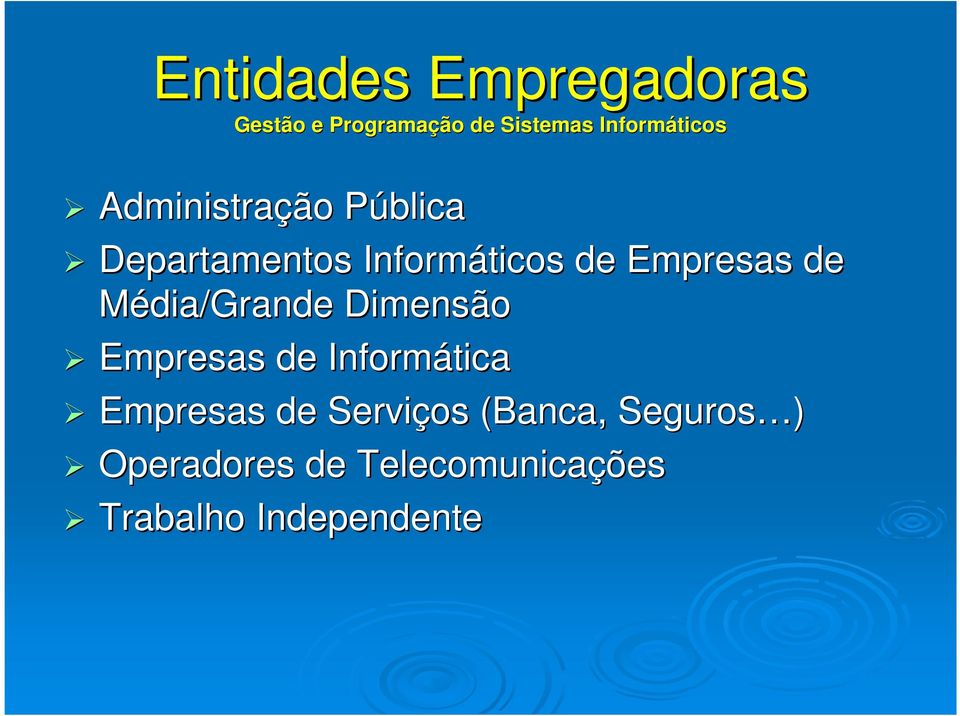 Empresas de Média/Grande Dimensão Empresas de Informática Empresas