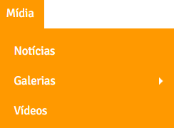 O item Mídia é composto por subitens, conforme mostra figura ao lado. Para ter acesso, basta o usuário clicar no subitem de sua escolha. Logo abaixo a explicação de cada conteúdo que os compõe.