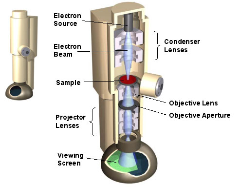 O Microscópio Eletrônico de Transmissão Num microscópio eletrônico, campos magnéticos atuam como lentes.