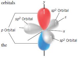 4.2. O Átomo de Carbono: hibridização em sp 2 Matematicamente, a mistura de orbitais que fornece os orbitais sp 2 pode ser visualizada no