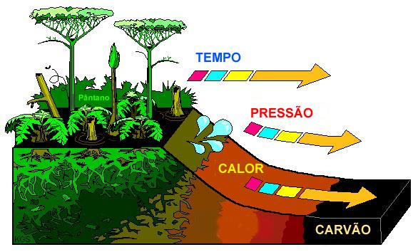 1 CARVÃO