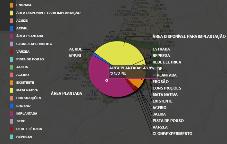 Relatórios Analíticos Relatórios Gerenciais