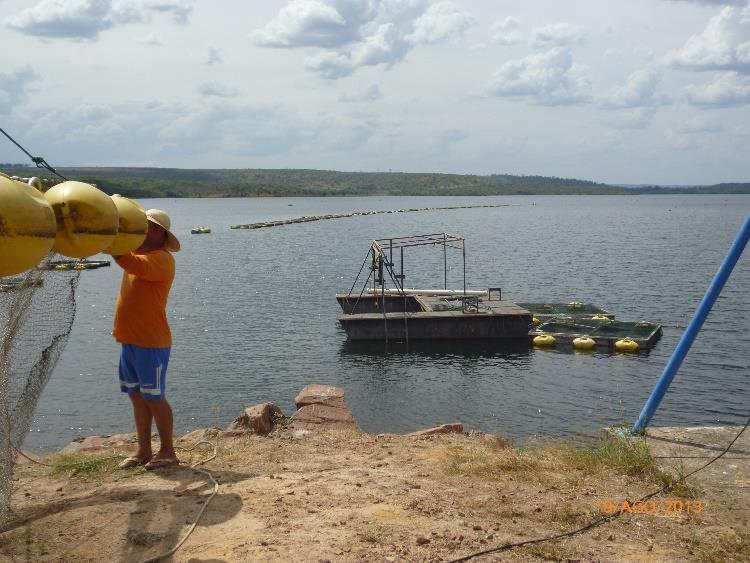 Potencial de rios e lagoas e PCHs Produção de tambaqui em Lagoa Natural (AM) Produção em de