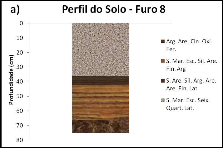 O furo 8, área plana, com presença de serrapilheira, apresentou, nos primeiros 36 cm, um solo de cor marrom escuro com presença de pequenos seixos de quartzo e laterita.