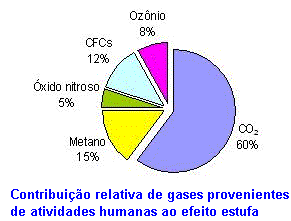 CÁLCULO COMPLEXO - Não conhecemos todos os sumidouros dos GEEs. - Balanço entre aquecimento e resfriamento de alguns GEEs.