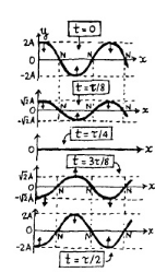 Para um dado valor de tempo, a função permanece semelhante variando apenas a amplitude.