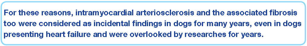 A arteriosclerose, para além da forma aterosclerótica, foi estudada em cães.