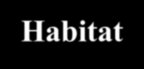 Habitat e Nicho Habitat local (físico) onde se encontra uma determinada espécie (endereço).