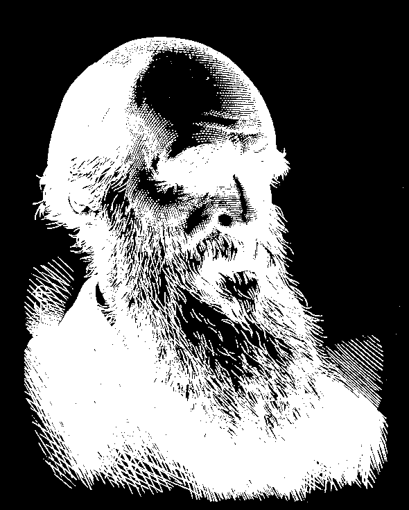 Charles Darwin Histórico Século XIX: Charles Darwin: Publica A Origem das Espécies juntamente com Alfred Russel Wallace, em 1859, após passar 5 anos viajando pelo mundo;