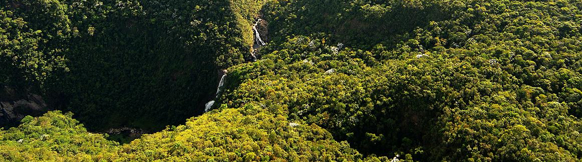 As RPPNs da Vale e sua contribuição para a conservação da biodiversidade no Quadrilátero Ferrífero de Minas Gerais