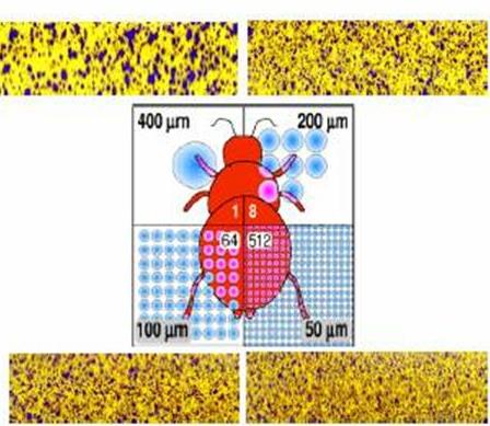 Saúde pública: 1 a 50 micras 25 micras (quantidade suficiente de inseticida capaz de matar um mosquito) Calculo do Nº de gotas que se obtem