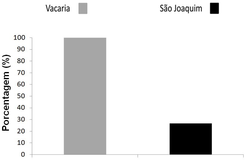 Porcentagem de pomicultores que realizam aplicações de iscas