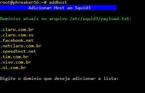 O arquivo payload.txt contém a lista de domínios que são aceitos pelo Proxy Squid. São domínios usados nas payloads usadas no HTTP Injector e programas semelhantes.