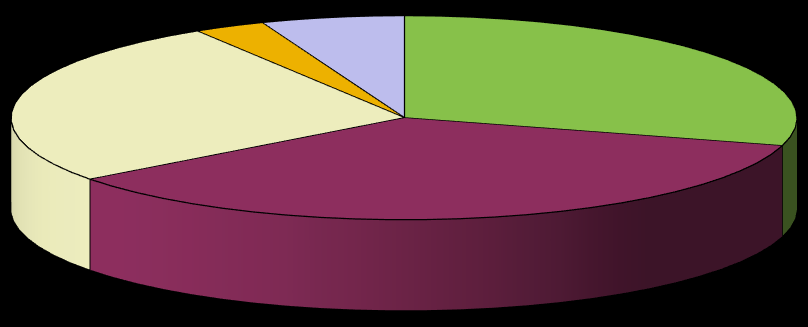 Gráfico 7: Idade 9% 12% 15% 64% 17 a 20 anos 21 a 25 anos 26 a 30 anos 31 > No que diz respeito à renda per capita, os dados obtidos foram os seguintes: até 1 salário mínimo (10); entre 1 e 2