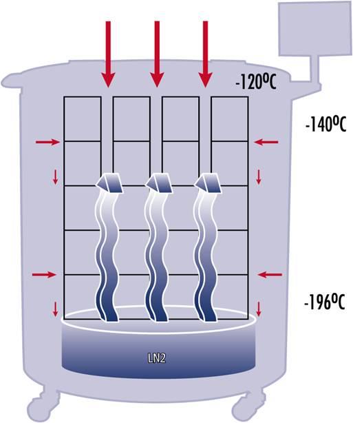 Transferência de Calor por Convecção A convecção é um fenômeno físico observado em líquidos e gases onde há movimento de átomos ou moléculas por agitação ou por diferenças de densidades.