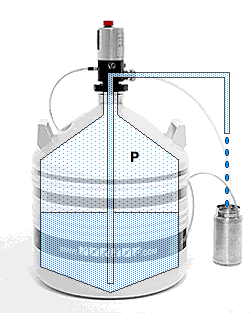 popularmente chamado de garrafa térmica.