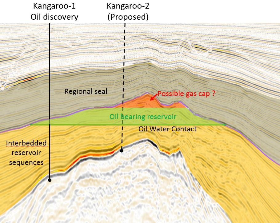 Bacia de Santos Campo Kangaroo Santos Basin Kangaroo Field Seção sísmica N-S AA no campo Kangaroo Descoberta de petróleo Kangaroo Dados de pressão e amostras de petróleo recuperadas confirmam a