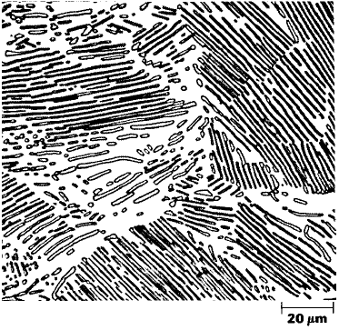 DIAGRAMAS DE FASES E MICROESTRUTURA Ligas Eutetóides Fig.