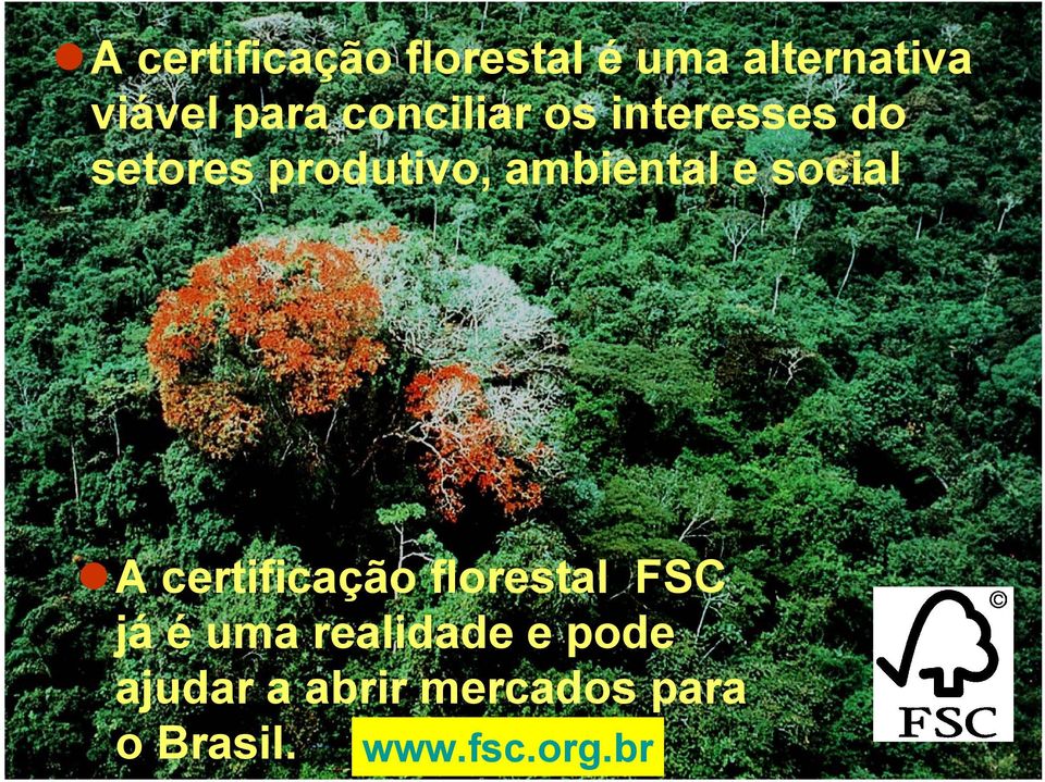 e social A certificação florestal FSC já é uma realidade