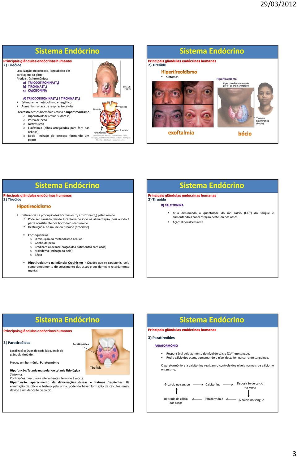 Perdadepeso o Nervosismo o Exoftalmia (olhos arregalados para fora das órbitas) o Bócio (inchaço do pescoço formando um papo) DeficiêncianaproduçãodoshormôniosT 3 etiroxina(t 4 )pelatireóide.