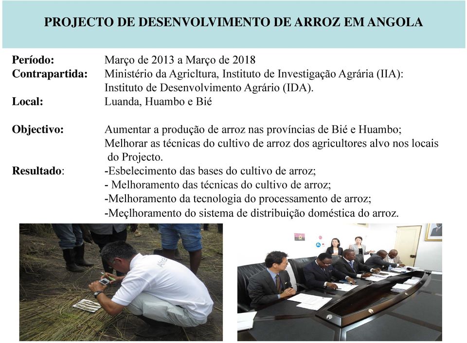 Local: Luanda, Huambo e Bié Objectivo: Resultado: Aumentar a produção de arroz nas províncias de Bié e Huambo; Melhorar as técnicas do cultivo de arroz dos