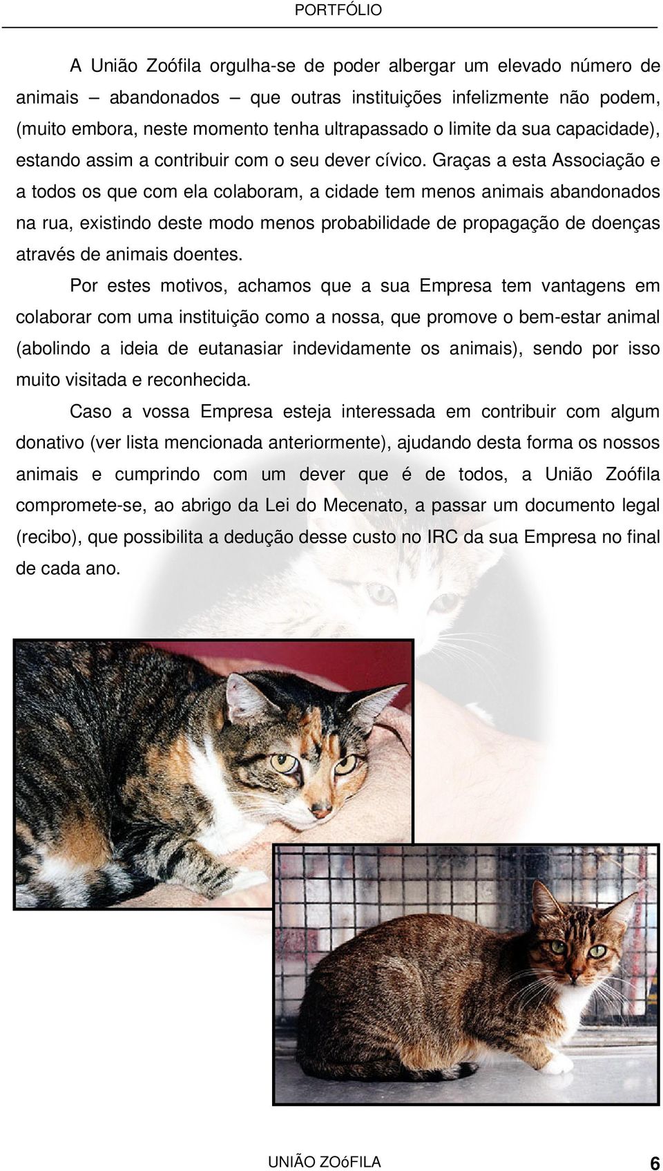 Graças a esta Associação e a todos os que com ela colaboram, a cidade tem menos animais abandonados na rua, existindo deste modo menos probabilidade de propagação de doenças através de animais