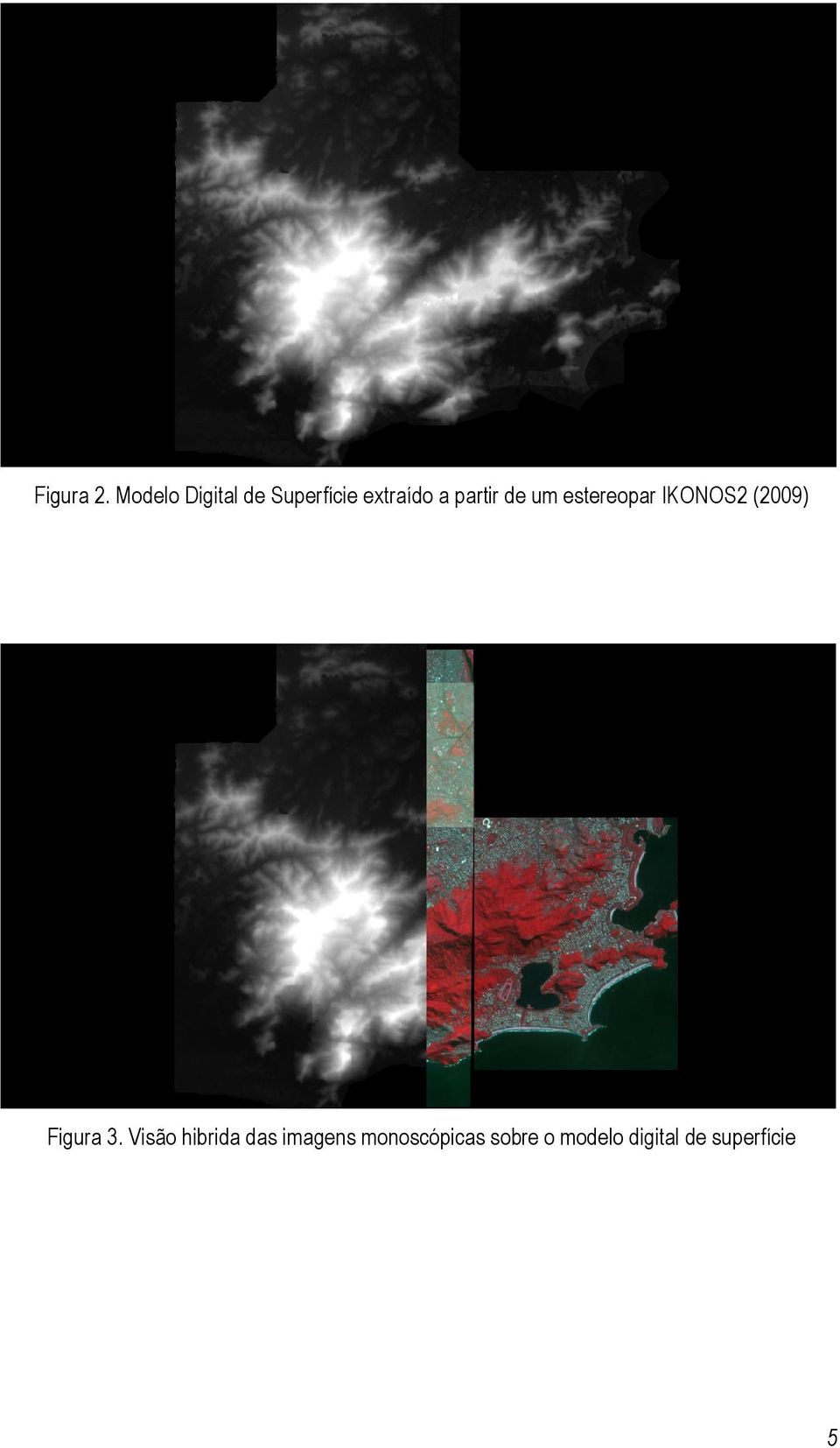 partir de um estereopar IKONOS2 (2009)