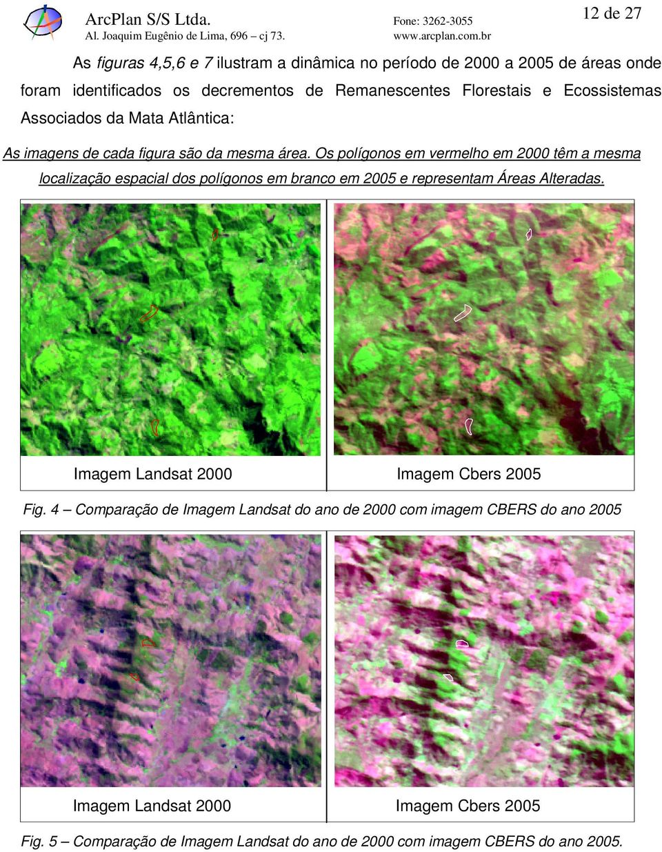 Florestais e Ecossistemas Associados da Mata Atlântica: As imagens de cada figura são da mesma área.