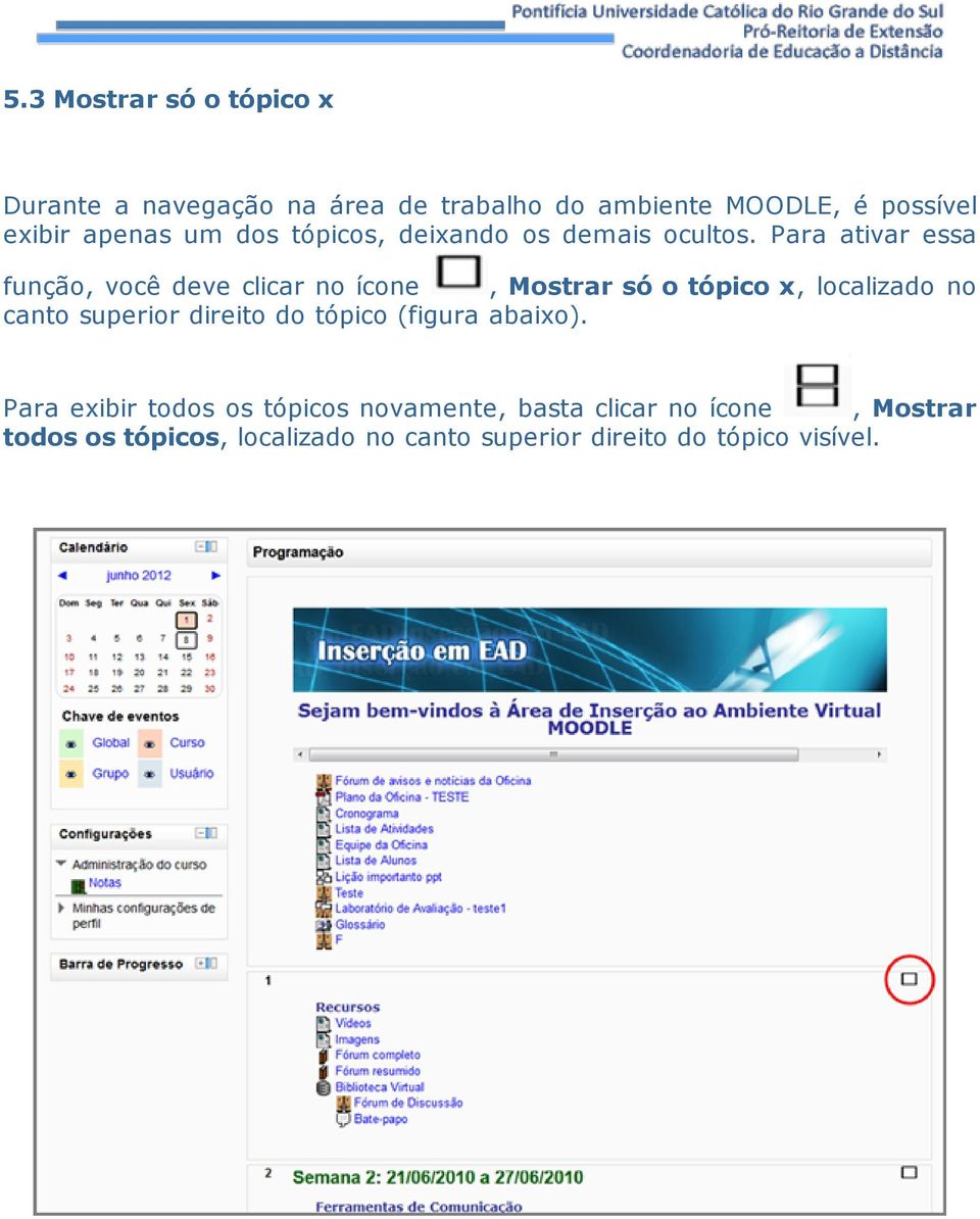 Para ativar essa função, você deve clicar no ícone, Mostrar só o tópico x, localizado no canto superior