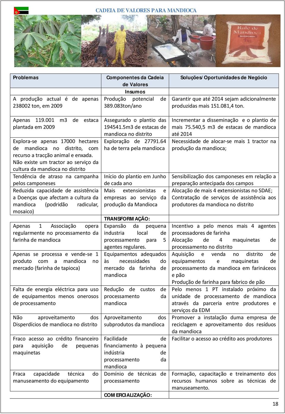 Não existe um tractor ao serviço da cultura da mandioca no distrito Tendência de atraso na campanha pelos camponeses Reduzida capacidade de assistência a Doenças que afectam a cultura da mandioca