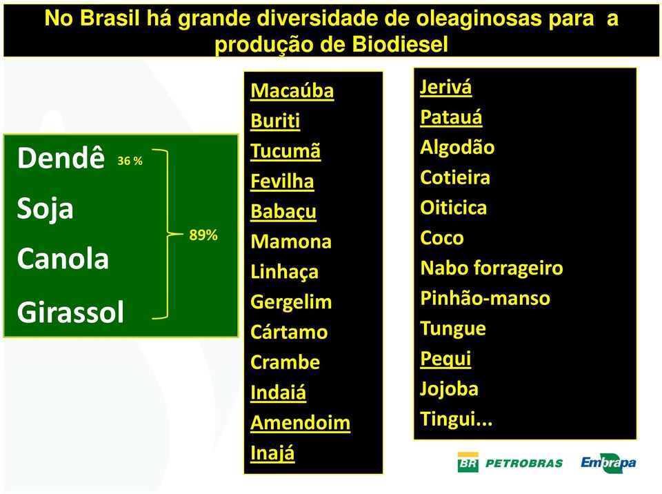 Mamona Linhaça Gergelim Cártamo Crambe Indaiá Amendoim Inajá Jerivá Patauá