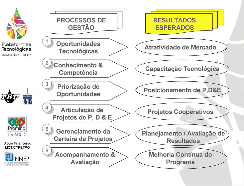 P,D&E 4 4 Articulação de Projetos de P, D & E Projetos Cooperativos 5 6 Gerenciamento da Carteira de