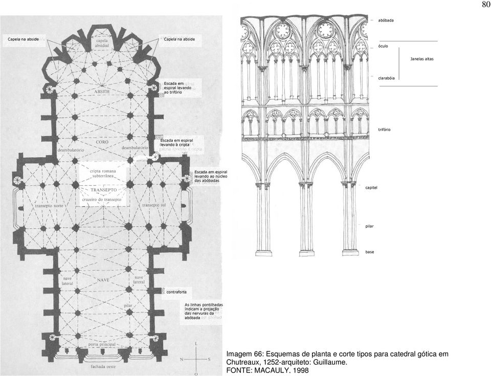 capitel pilar base contraforte As linhas pontilhadas indicam a projeção das nervuras da abóbada Imagem 66: