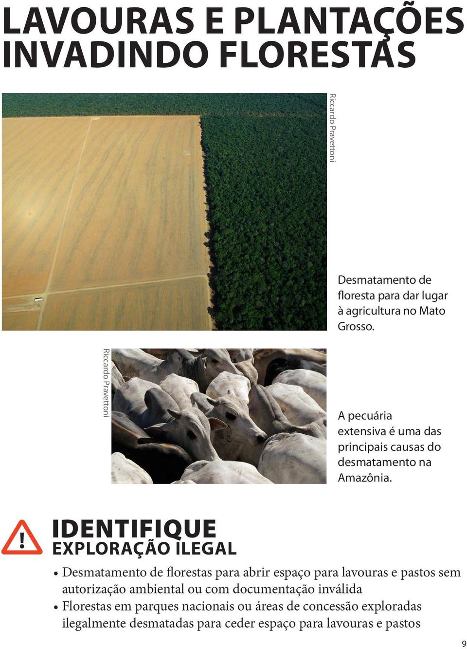 ! IDENTIFIQUE EXPLORAÇÃO ILEGAL Desmatamento de florestas para abrir espaço para lavouras e pastos sem autorização ambiental ou