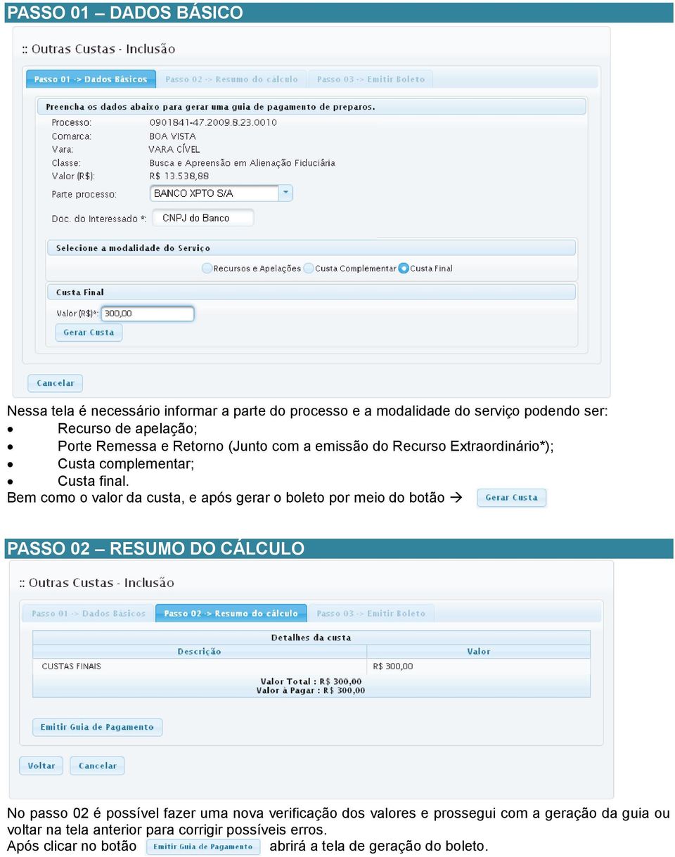 Bem como o valor da custa, e após gerar o boleto por meio do botão PASSO 02 RESUMO DO CÁLCULO No passo 02 é possível fazer uma nova