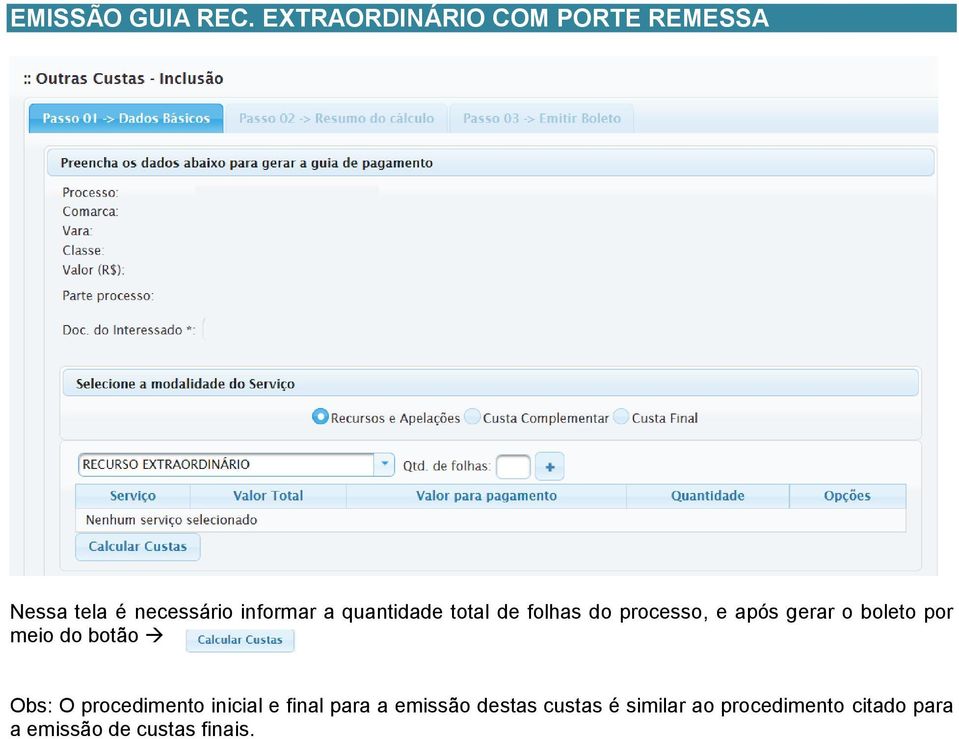 quantidade total de folhas do processo, e após gerar o boleto por meio do