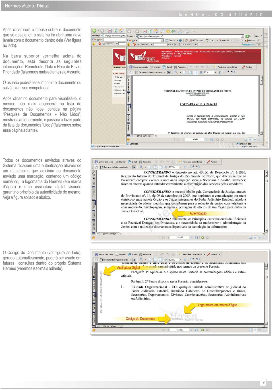 O usuário poderá ler e imprimir o documento ou salvá-lo em seu computador.