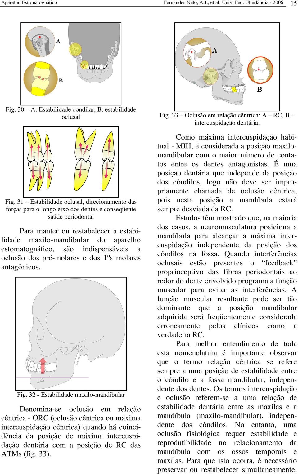 estomatognático, são indispensáveis a oclusão dos pré-molares e dos 1ºs molares antagônicos. Fig.